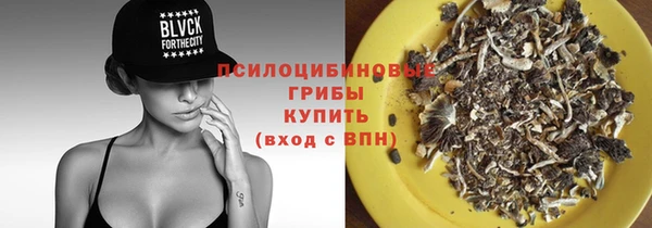 герыч Новодвинск