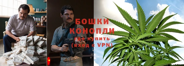 шишки Нефтегорск