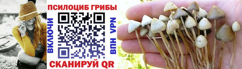 Галлюциногенные грибы Cubensis  купить  цена  Красавино 